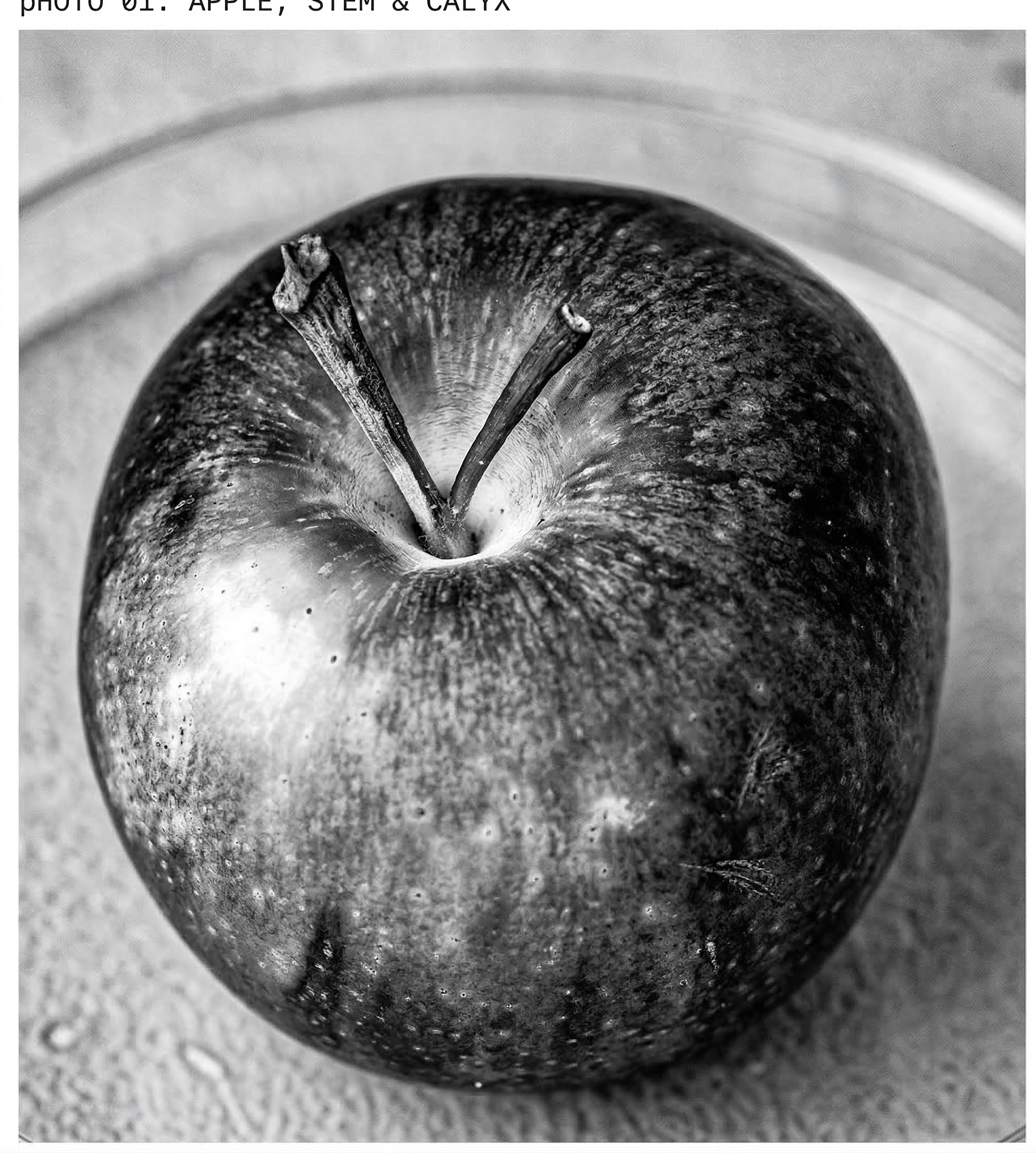 Apple - Black Gold or Fool's Gold